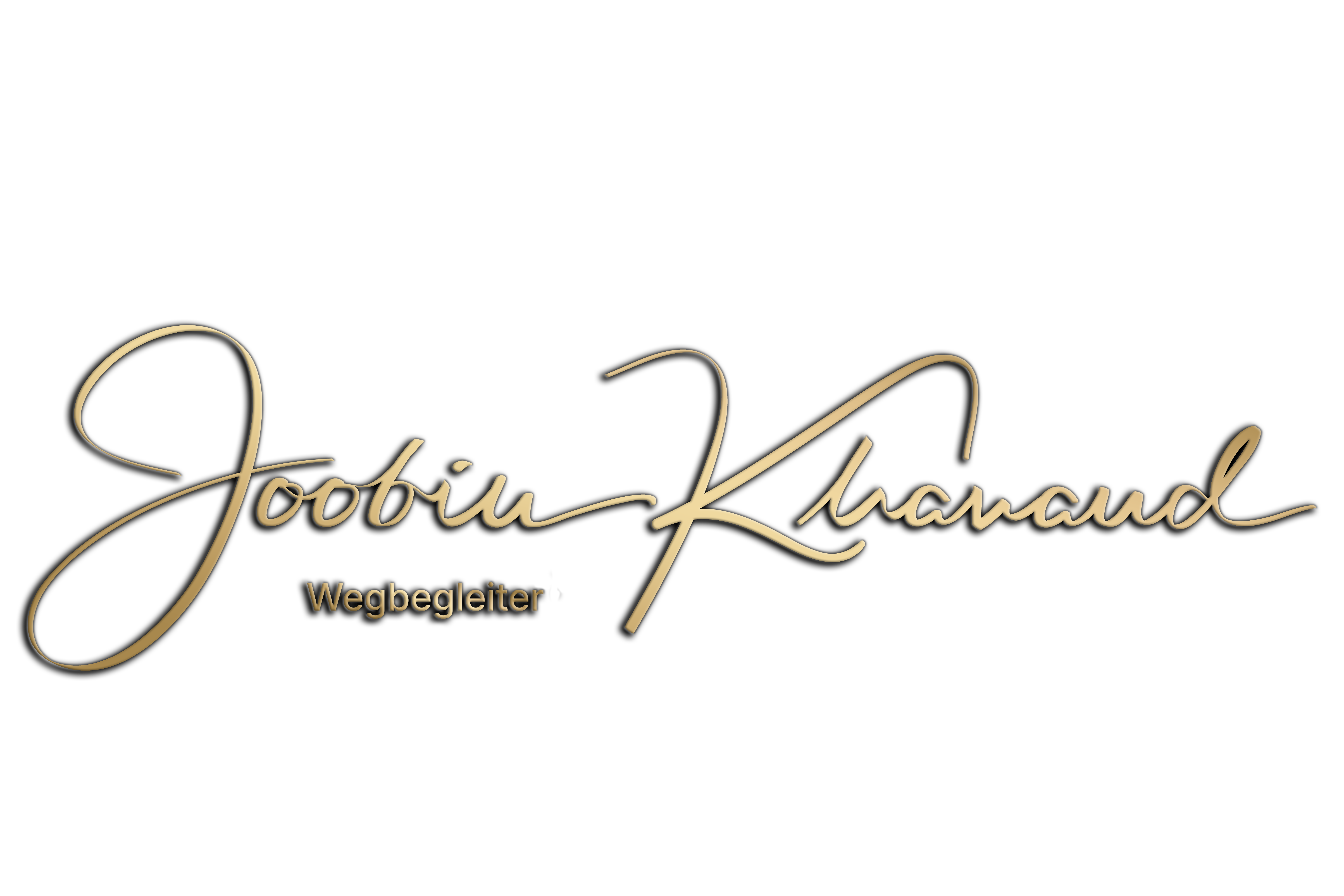 Joobin Khavand · Wegbegleiter